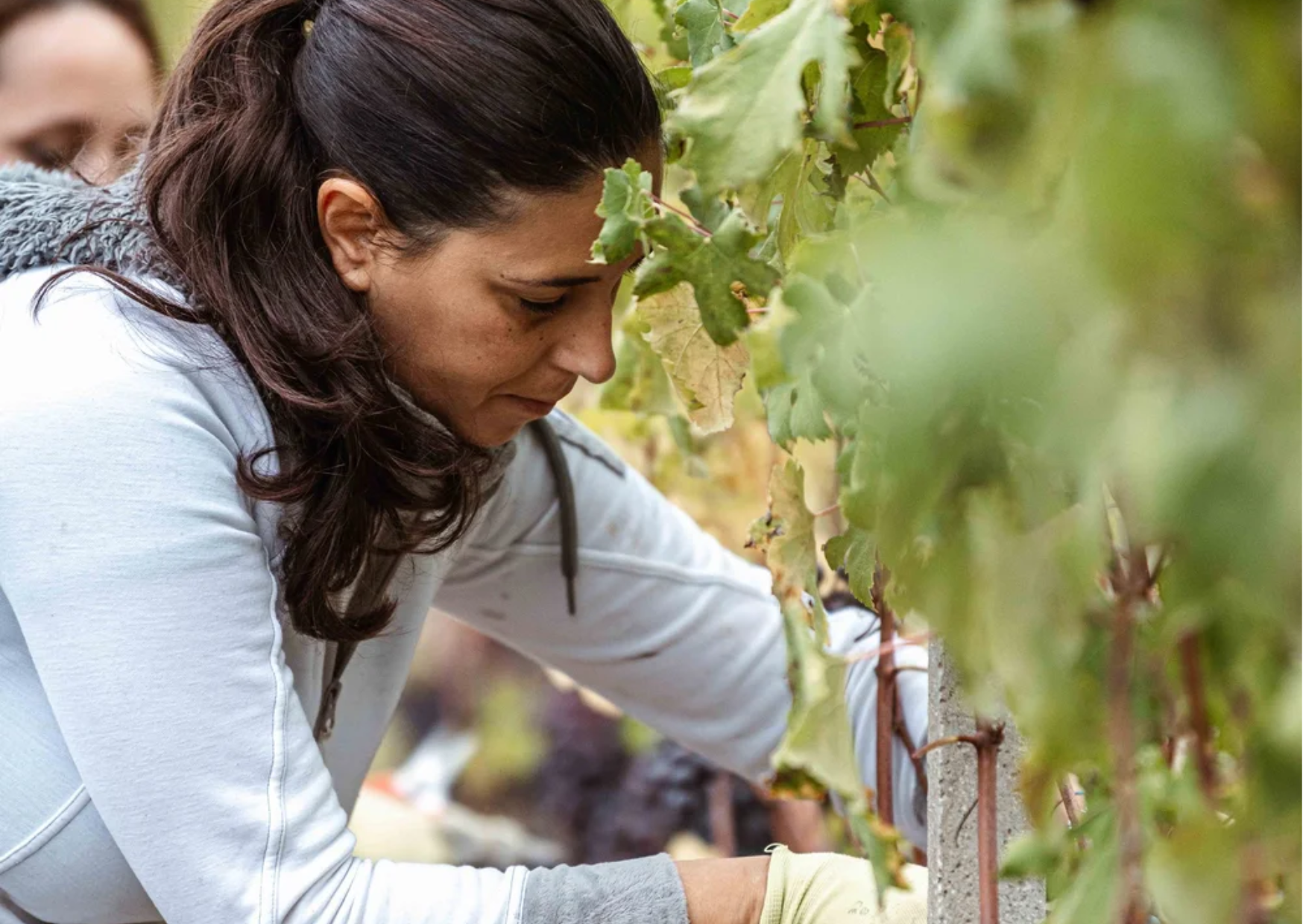 Tasting with Luisa Rocca